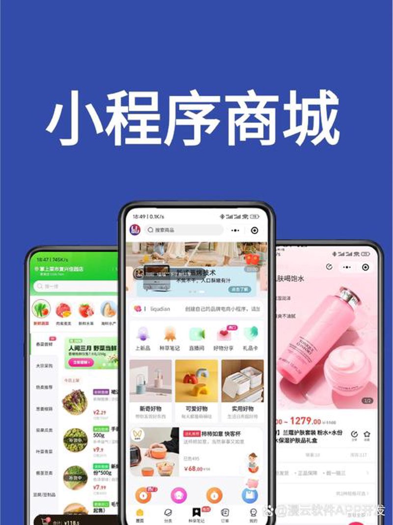 软件定制开发：构建专属的技术翅膀